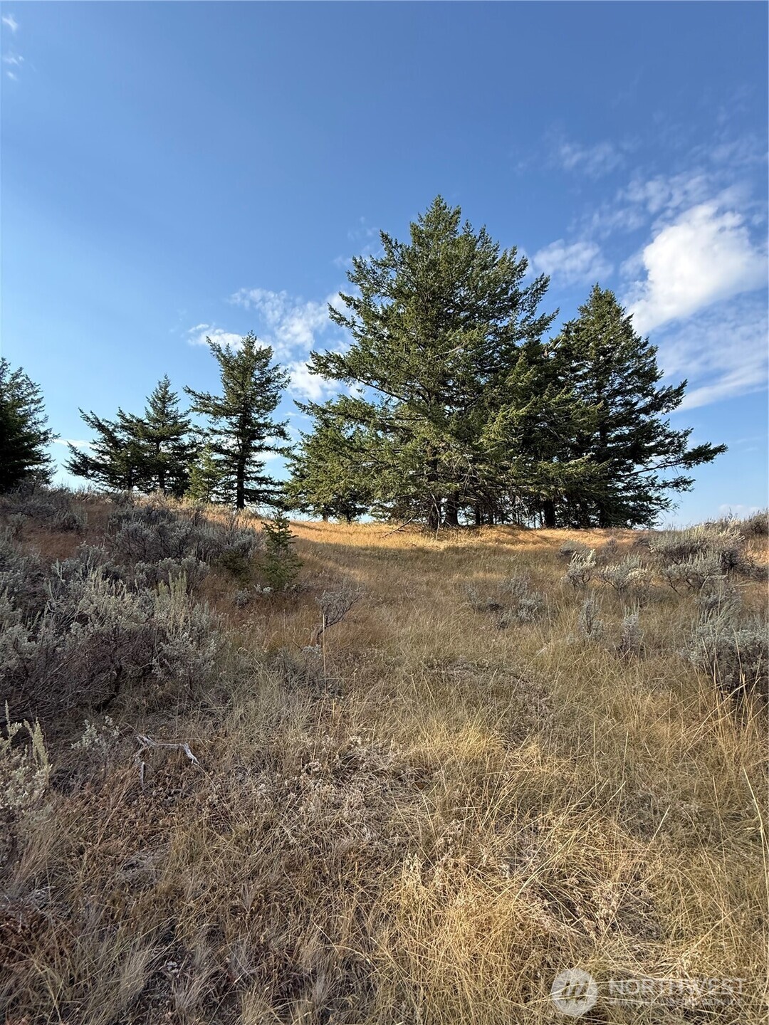 111 Off Log Camp Road Loomis, WA 98827 - Photo 10 of 11 Gallery Image 10