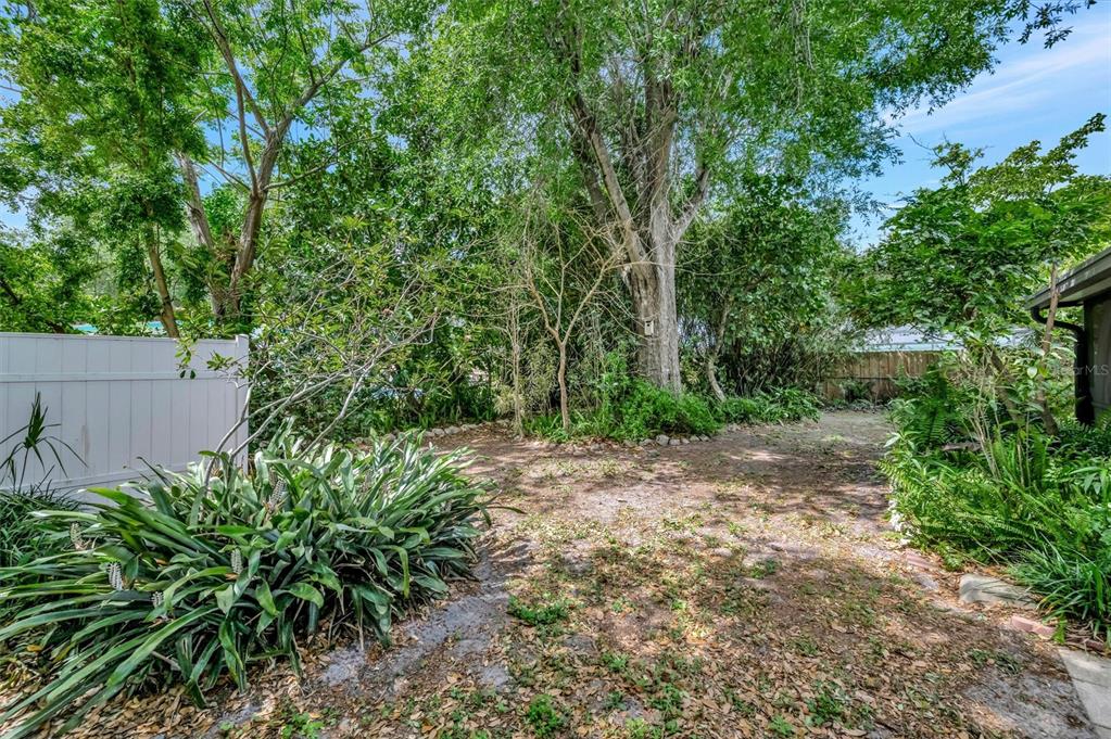 4478 Coco Ridge Circle Sarasota, FL 34233 - Photo 73 of 85 a backyard of a house with lots of green space