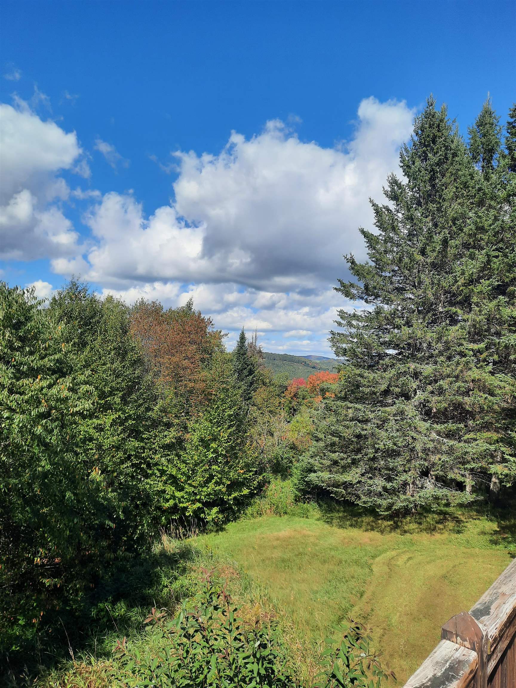 117 Daniel Beard Road Pittsburg, NH 03592 - Photo 8 of 60 Gallery Image 8