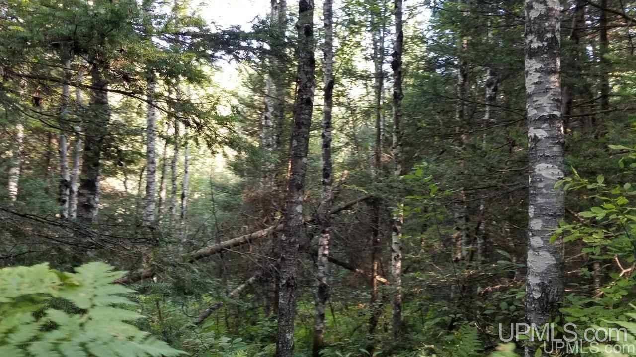 Tbd Fishing Site Road, Unit 1 Amasa, MI 49903 - Photo 9 of 19