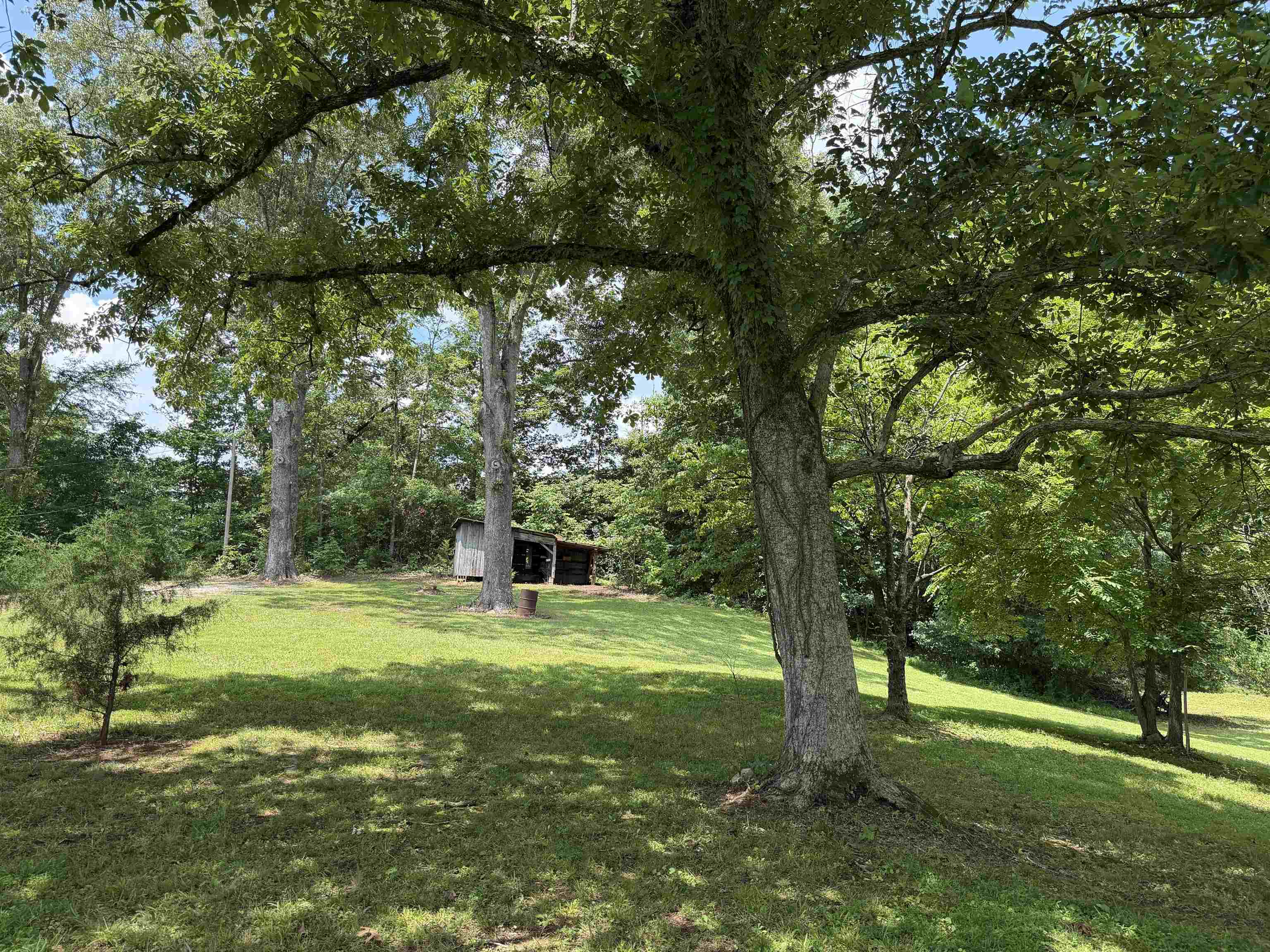 185 Poplar Springs Road Savannah, TN 38372 - Photo 37 of 40