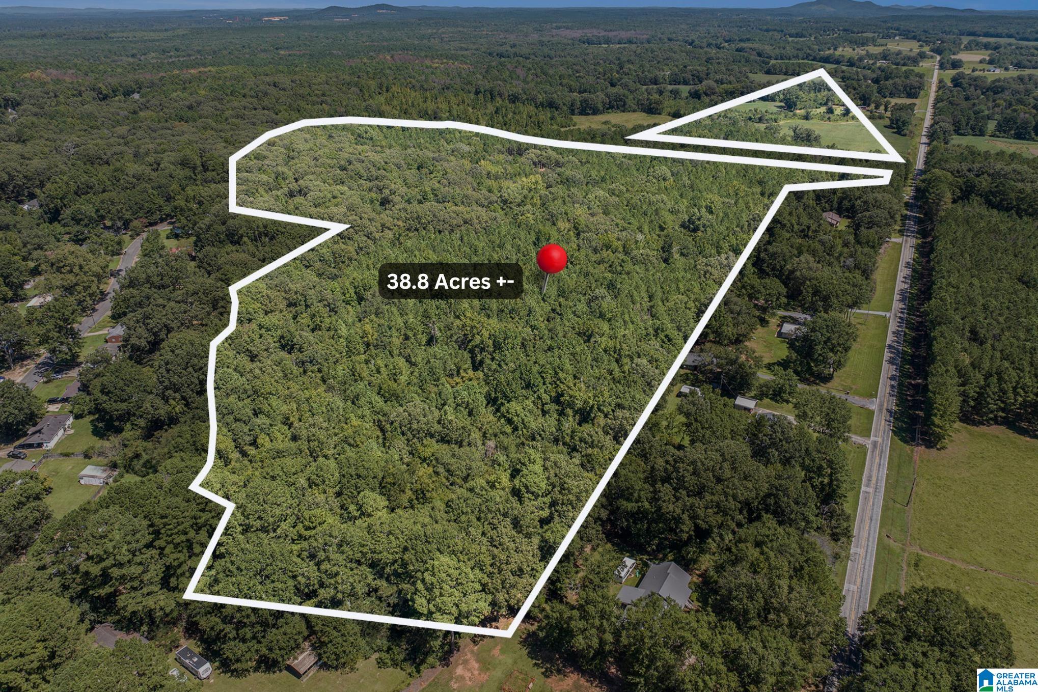 10614 Grist Mill Road, Unit 1 Childersburg, AL 35044 - Photo 1 of 9