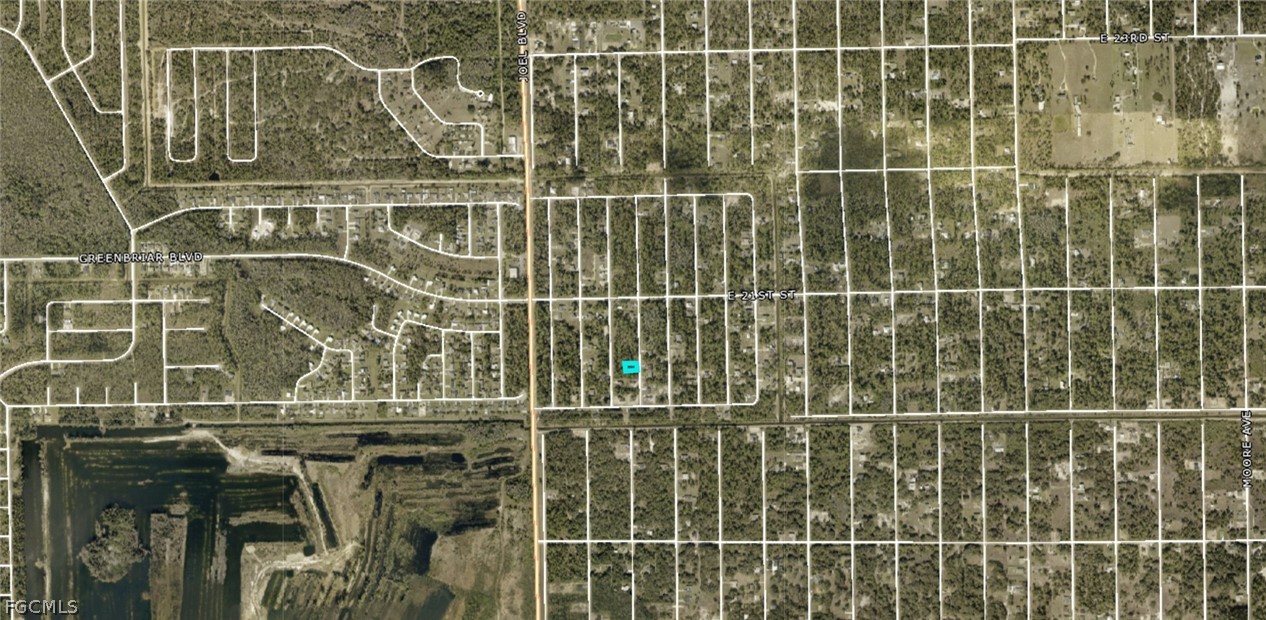 2009 Grayson Avenue Alva, FL 33920 - Photo 3 of 3