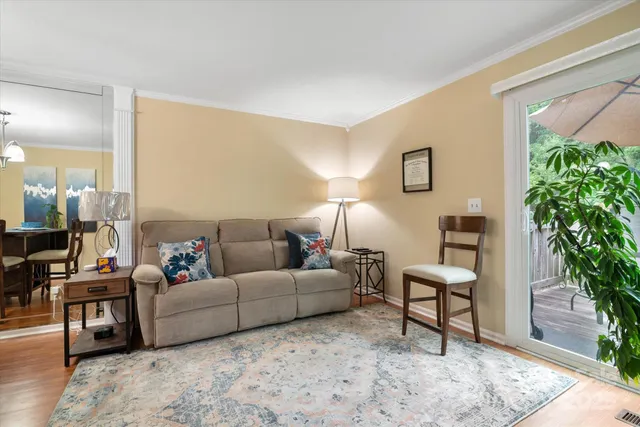 a living room with furniture and a potted plant