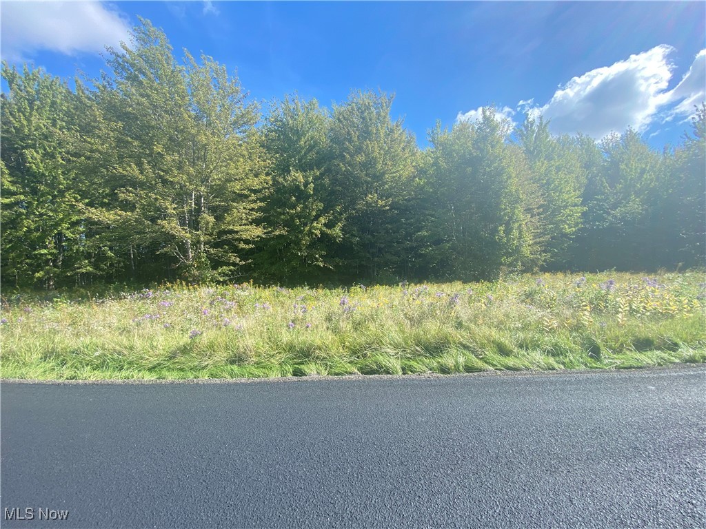 Bates Road Madison, OH 44057 - Photo 11 of 13 frontage