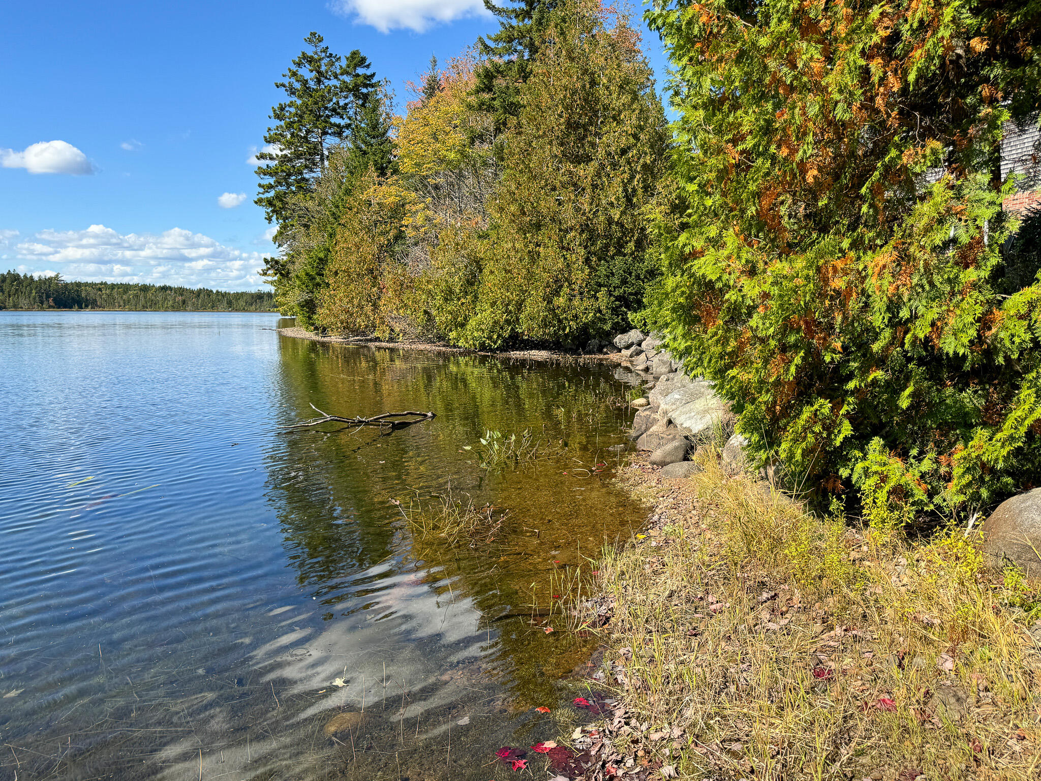 32 Rabbit Lane Whiting, ME 04691 - Photo 7 of 44 6a