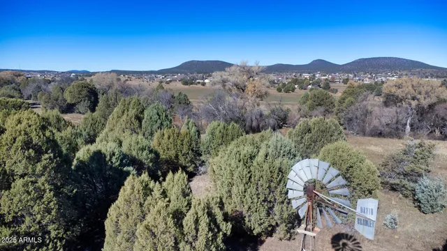 an aerial view of a house with a mountain