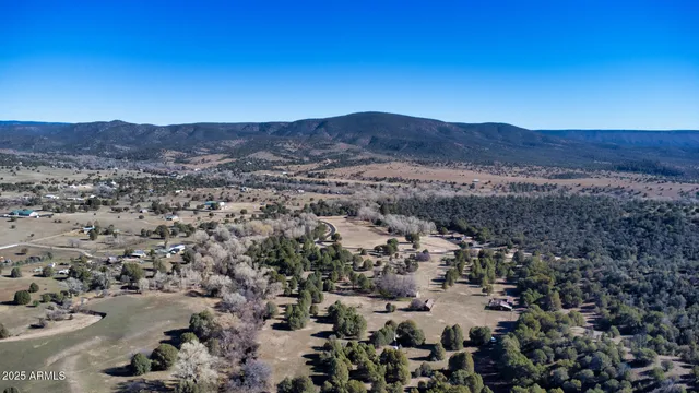 an aerial view of residential house and green space