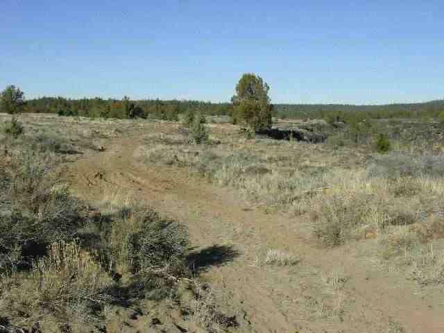 0 North Oregon Pines Road Chiloquin, OR 97624 - Photo 2 of 9 Additional Photo