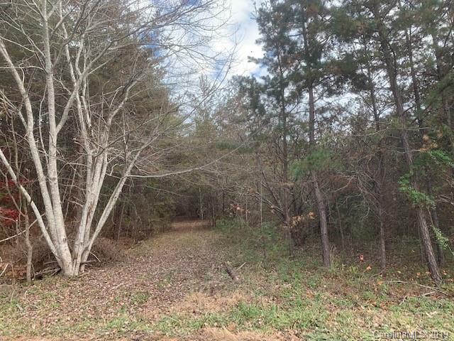 9999 McLean Road Weaverville, NC 28787 - Photo 3 of 5 Gallery Image 3