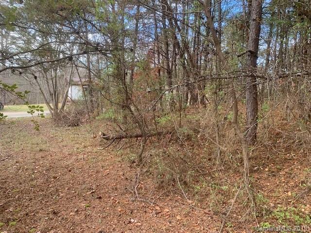 9999 McLean Road Weaverville, NC 28787 - Photo 5 of 5 Gallery Image 5