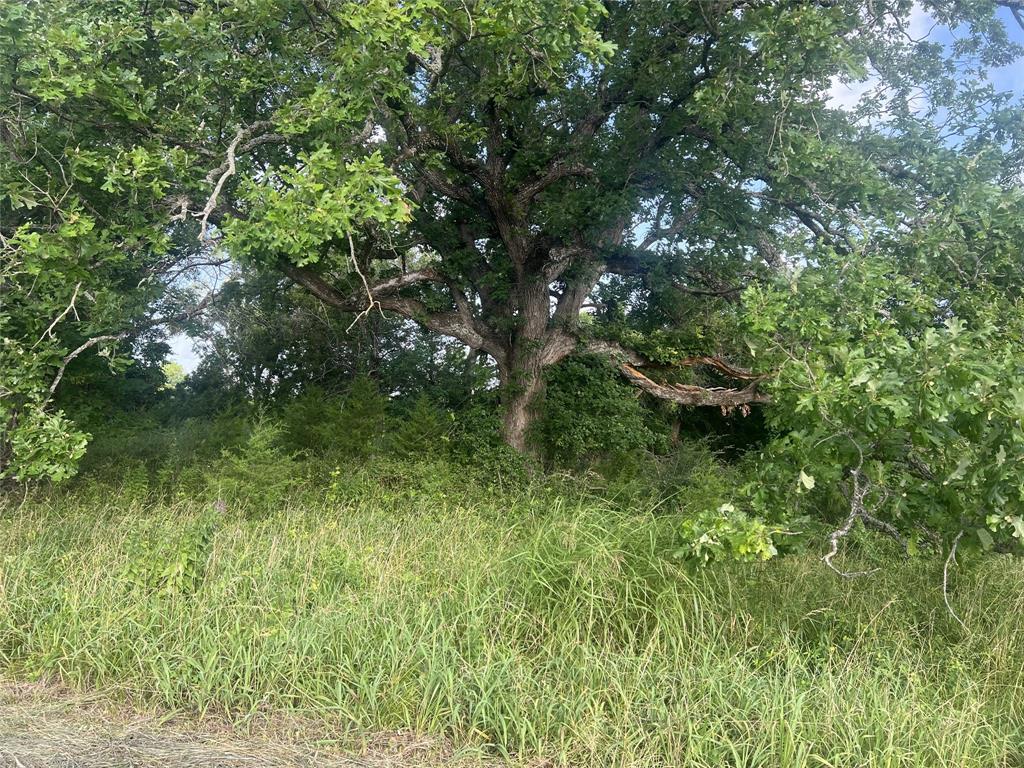 Seven Seven Oaks Road Bonham, TX 75418 - Photo 12 of 21