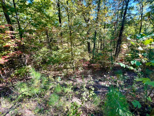 $75,000 | 20 Creek Hollow Way, Sevierville, TN 37876