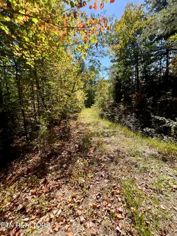 $75,000 | 20 Creek Hollow Way, Sevierville, TN 37876