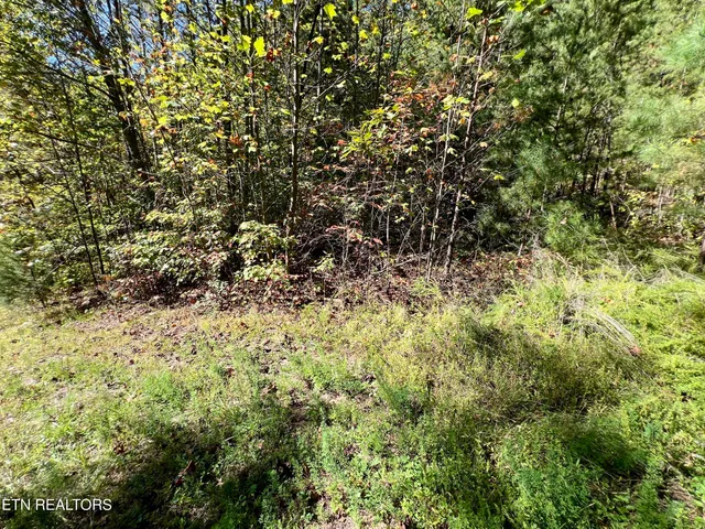 $75,000 | 20 Creek Hollow Way, Sevierville, TN 37876