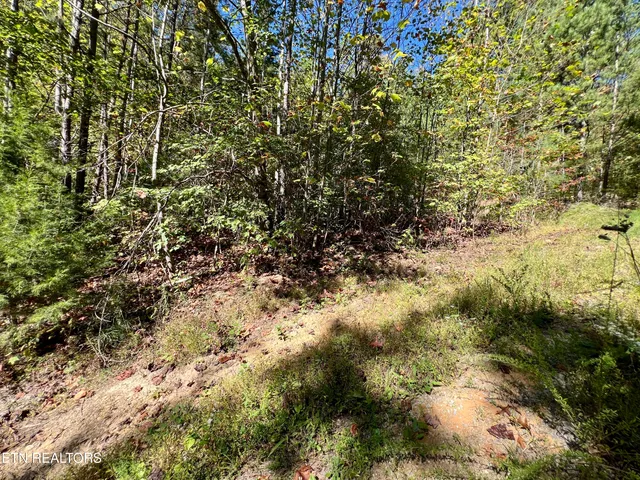 $75,000 | 20 Creek Hollow Way, Sevierville, TN 37876