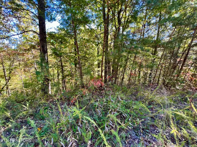 $75,000 | 20 Creek Hollow Way, Sevierville, TN 37876