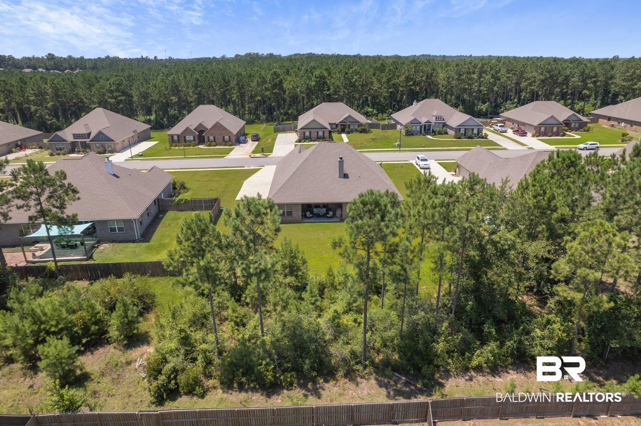 31358 Spoonbill Road Daphne, AL 36527 - Photo 28 of 39 Drone of Private Backyard
