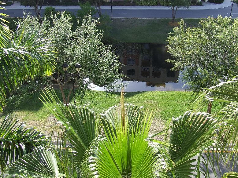 1690 Renaissance Commons Boulevard, Unit 1508 Boynton Beach, FL 33426 - Photo 9 of 14 VL 1508 026a