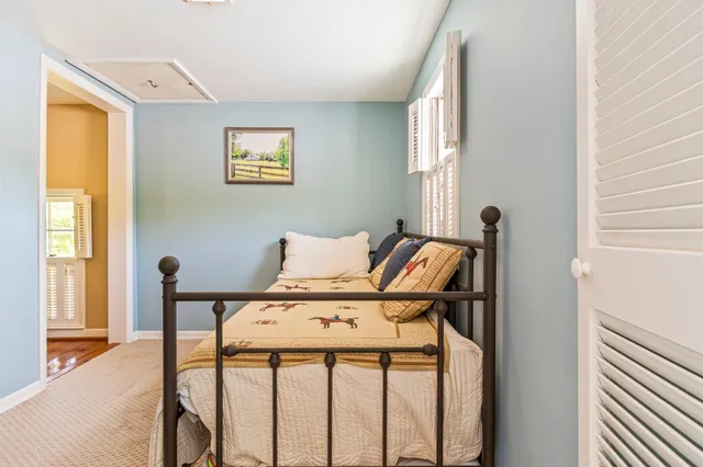 a view of a lake in middle of forest