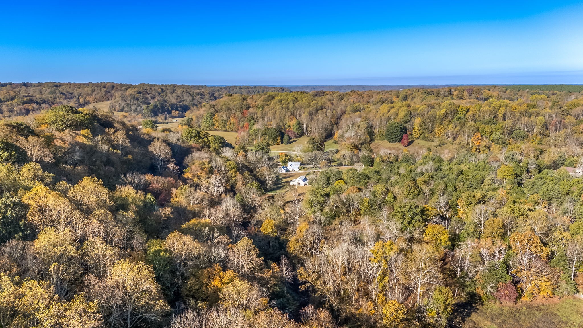 4923 Blue Creek Road Lynnville, TN 38472 - Photo 43 of 69 a view of a field