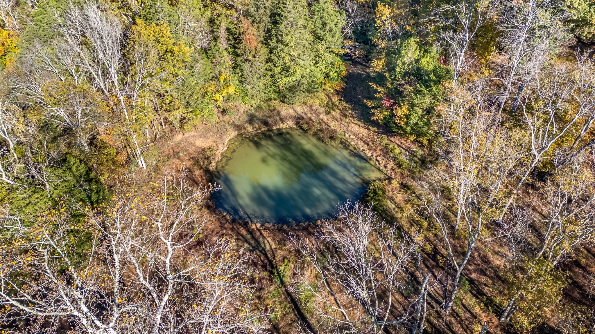 4923 Blue Creek Road Lynnville, TN 38472 - Photo 45 of 69