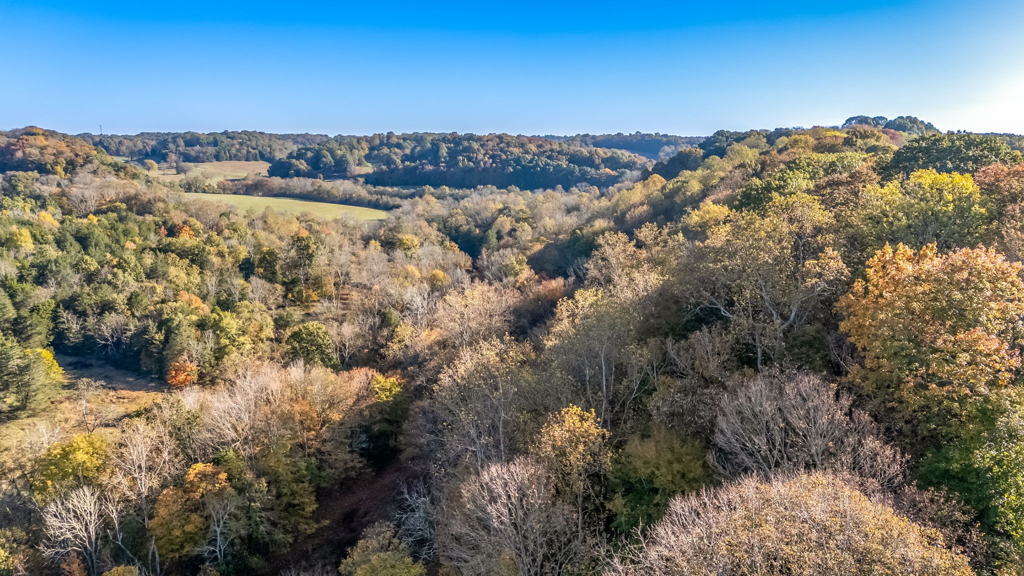 4923 Blue Creek Road Lynnville, TN 38472 - Photo 46 of 69 a view of a lake in middle of forest