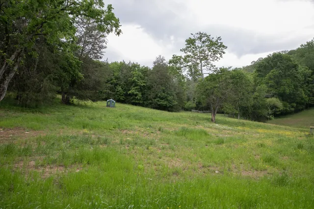 a view of a backyard
