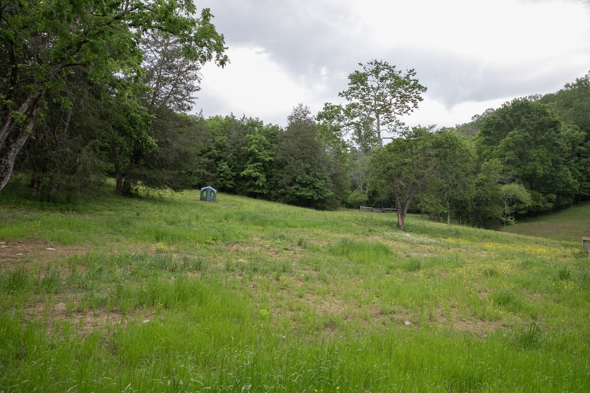 4923 Blue Creek Road Lynnville, TN 38472 - Photo 50 of 69 a view of an outdoor space and a yard