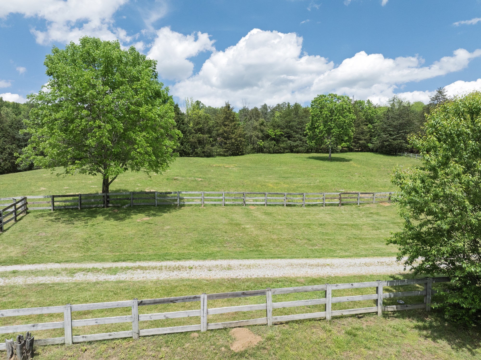 4923 Blue Creek Road Lynnville, TN 38472 - Photo 65 of 69