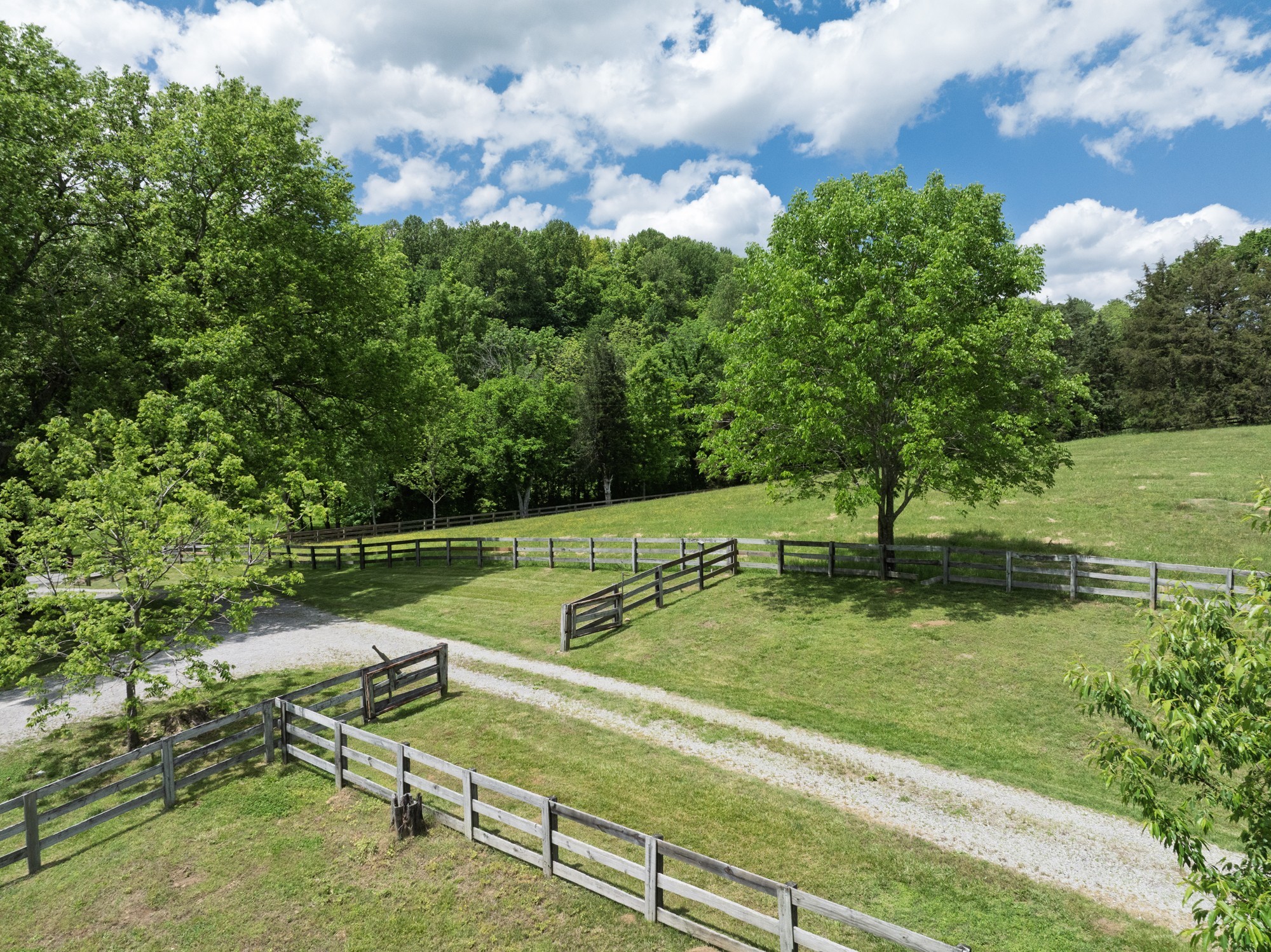 4923 Blue Creek Road Lynnville, TN 38472 - Photo 66 of 69 a view of a park with large trees