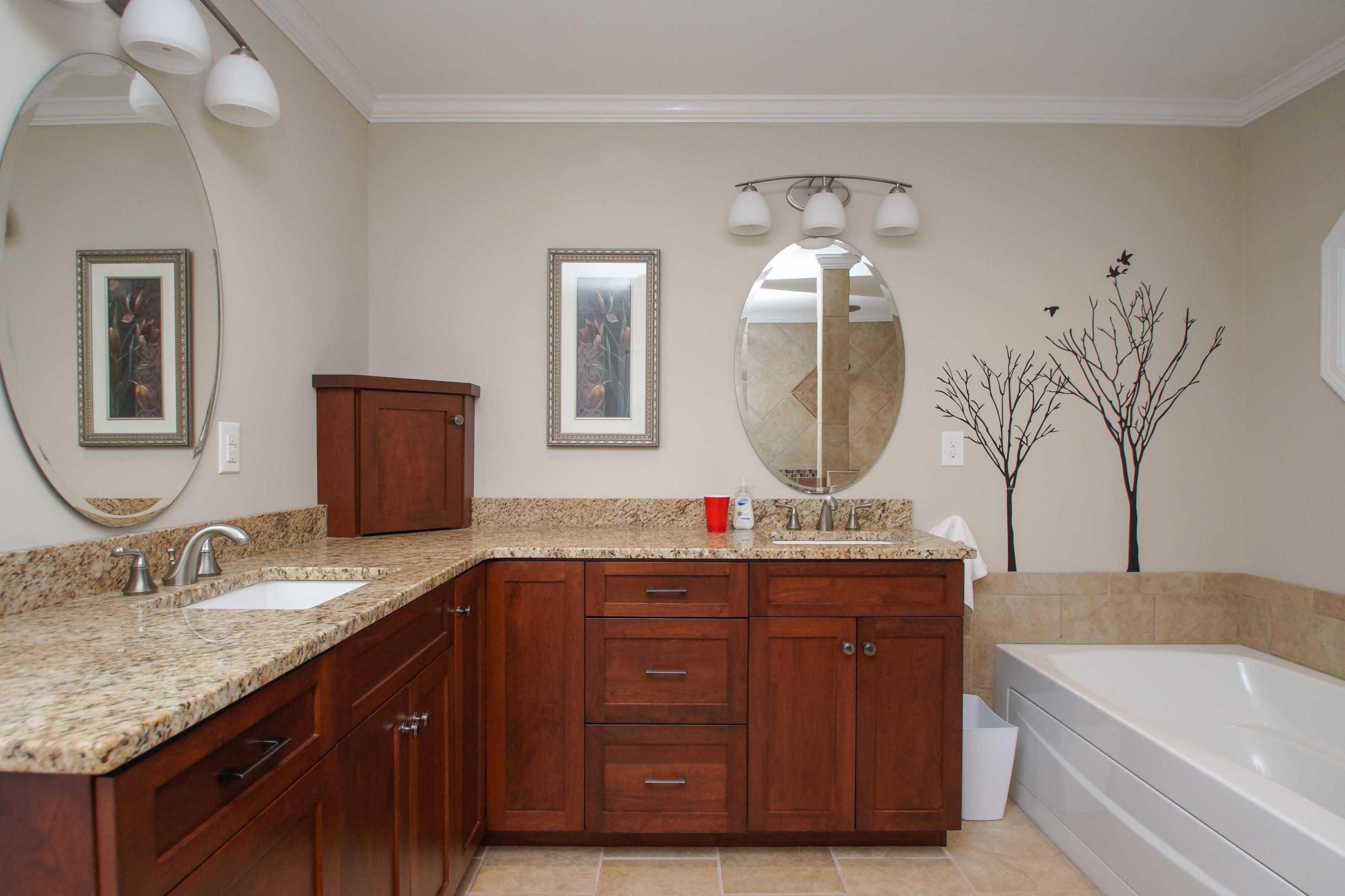 2086 Trails End Road Goodview, VA 24095 - Photo 19 of 47 a bathroom with a granite countertop sink and a mirror