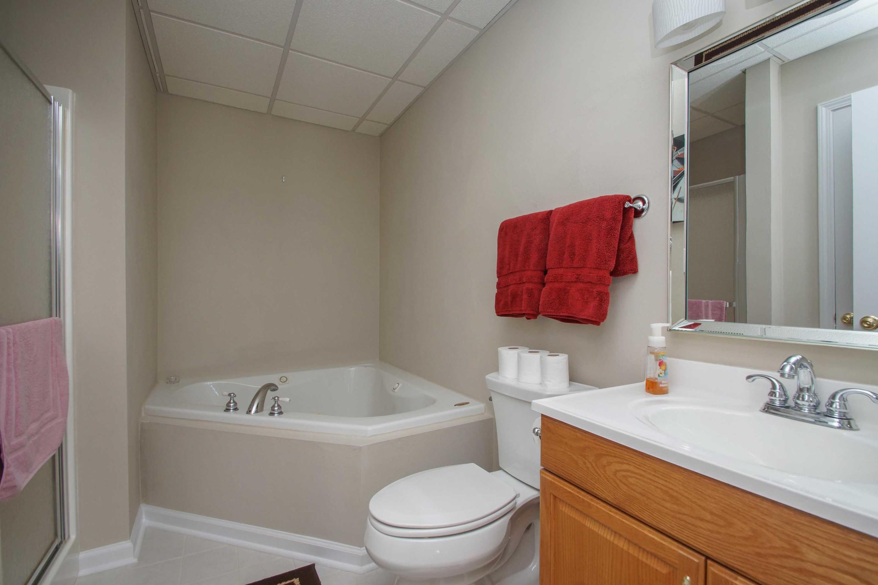 2086 Trails End Road Goodview, VA 24095 - Photo 34 of 47 a bathroom with a bathtub sink vanity mirror and toilet