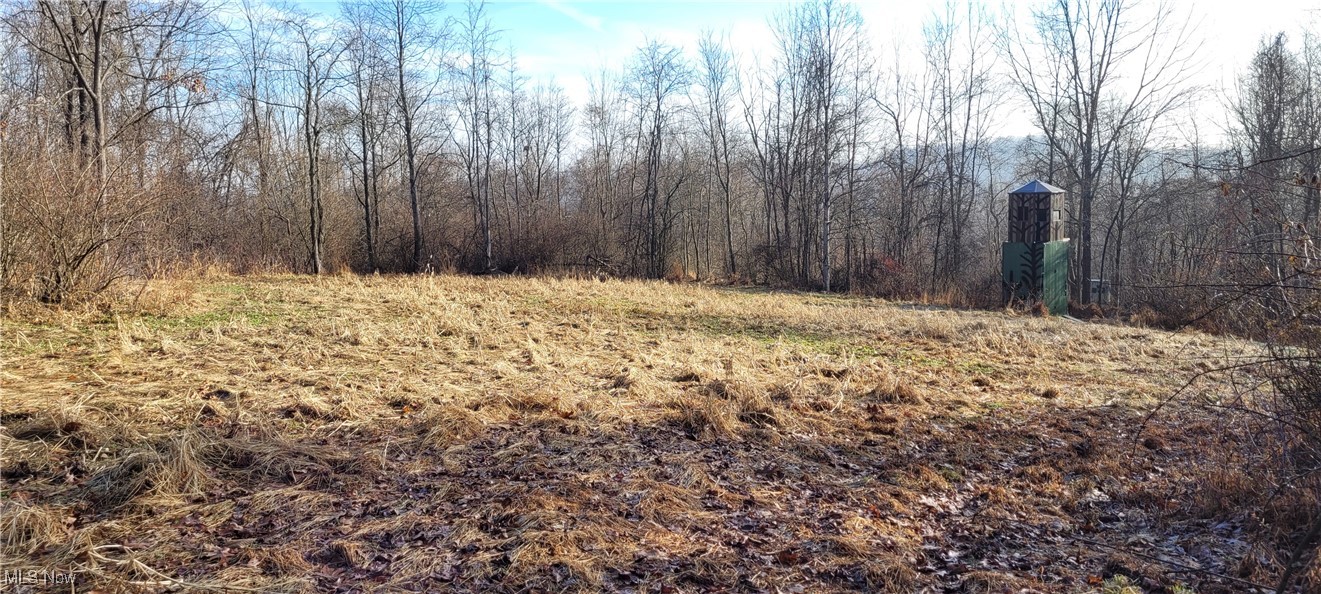 399 Township Road Coshocton, OH 43812 - Photo 29 of 50