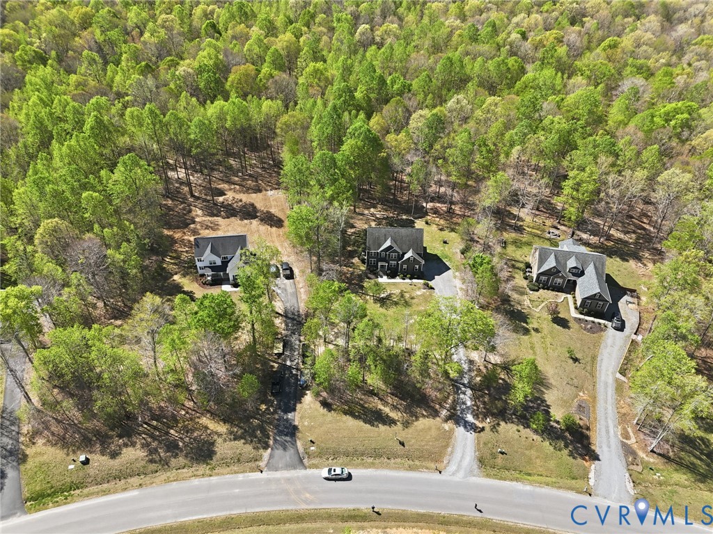 11177 Creeks Edge Road New Kent, VA 23124 - Photo 42 of 45 view of a tree with lots of trees