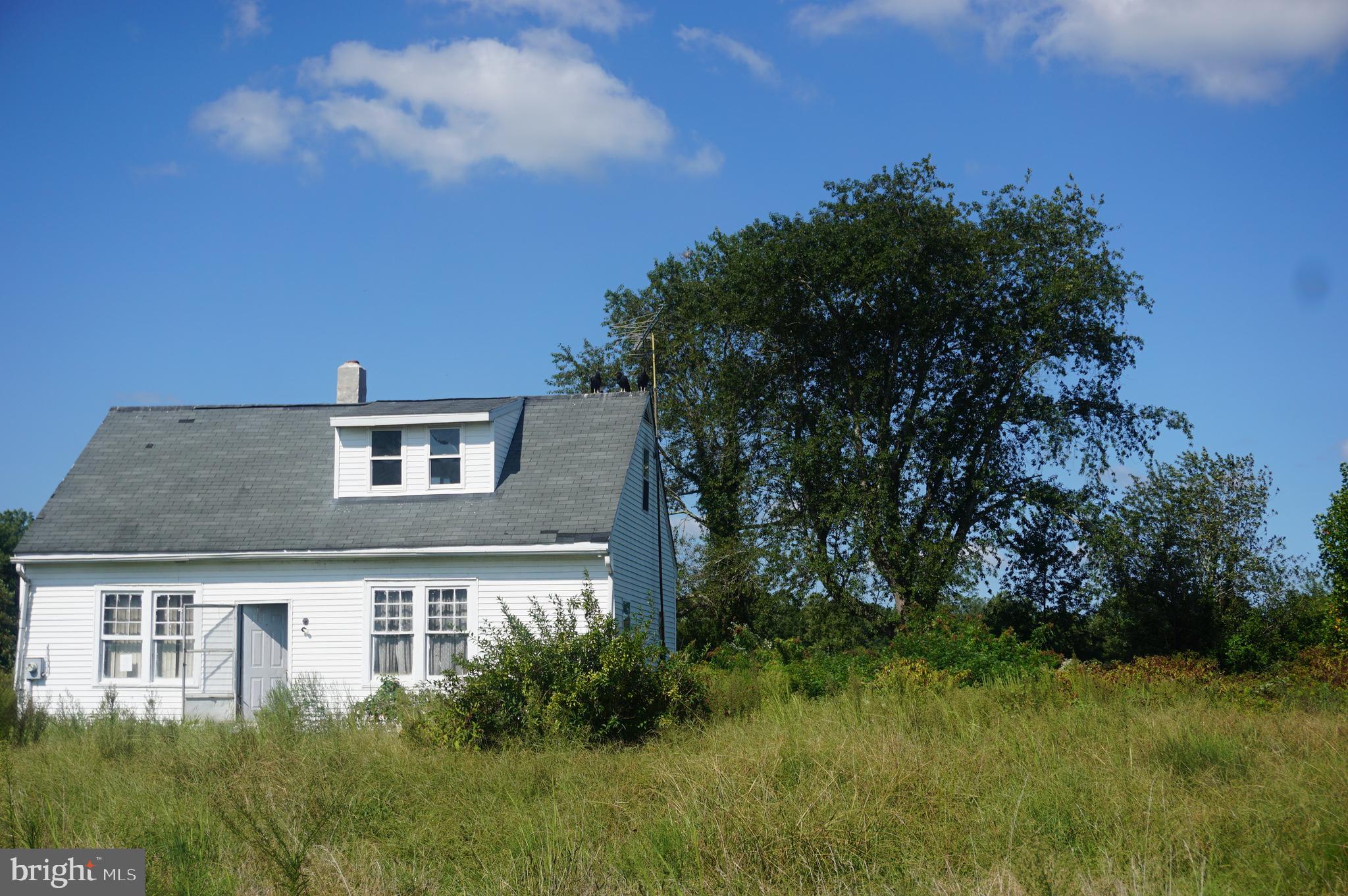 4516 Fork Neck Road Vienna, MD 21869 - Photo 7 of 9 Gallery Image 7