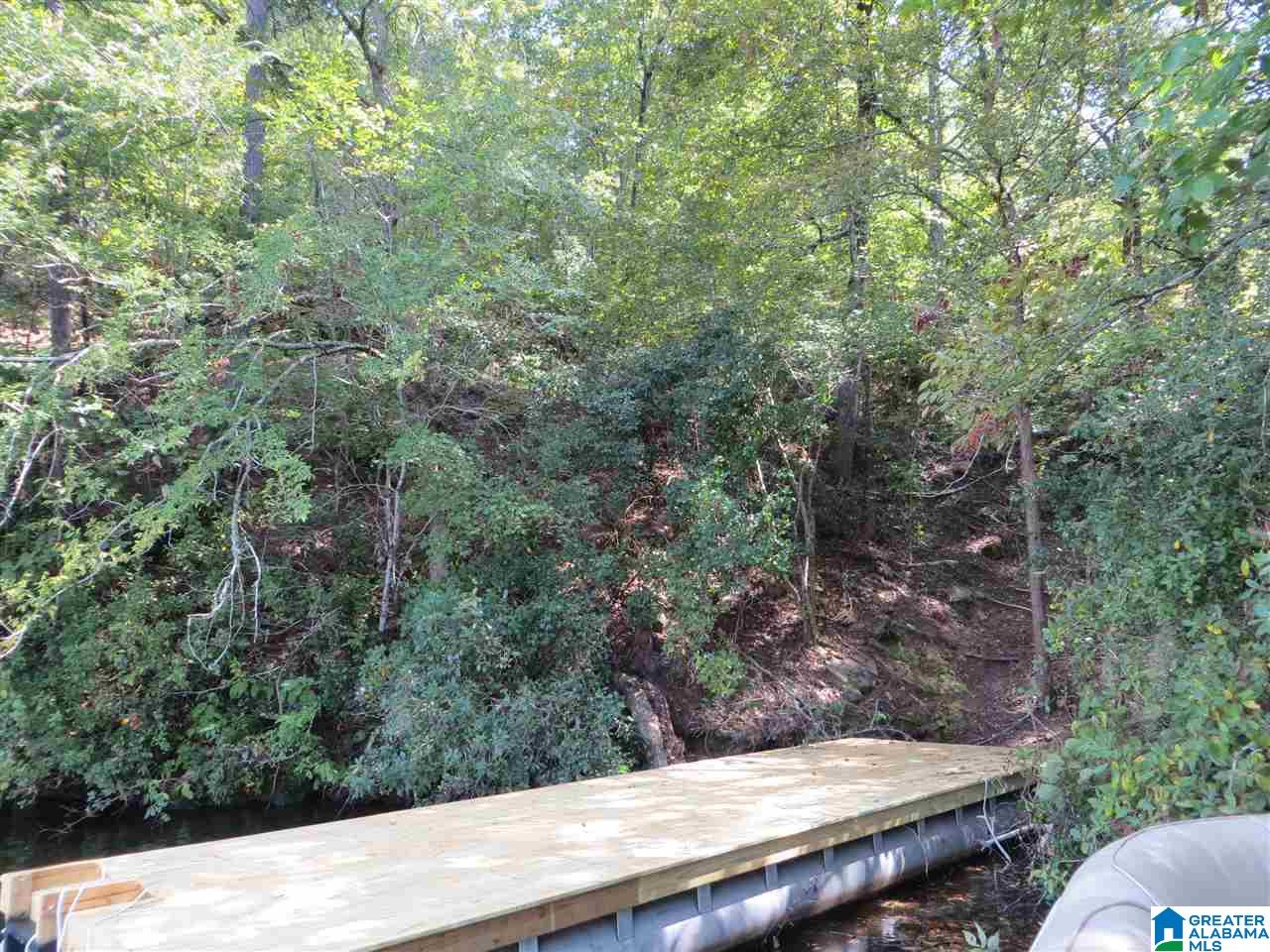 0 Bluff Road, Unit 1 Rockford, AL 35136 - Photo 5 of 18