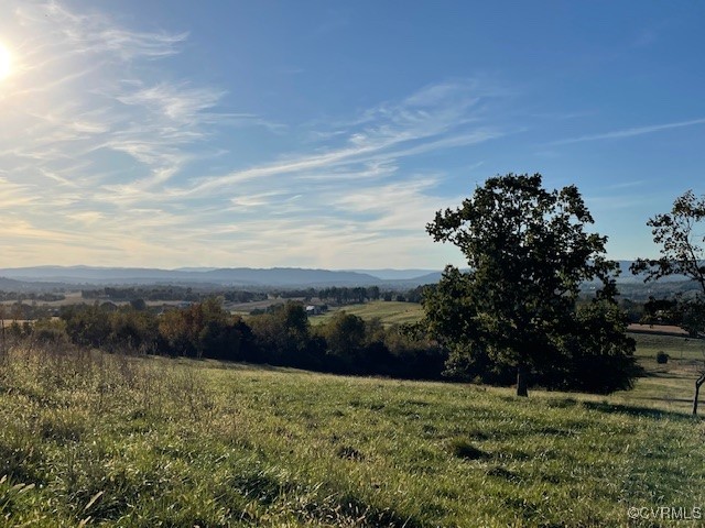 13237 Buckley Road Timberville, VA 22853 - Photo 5 of 18 landscape