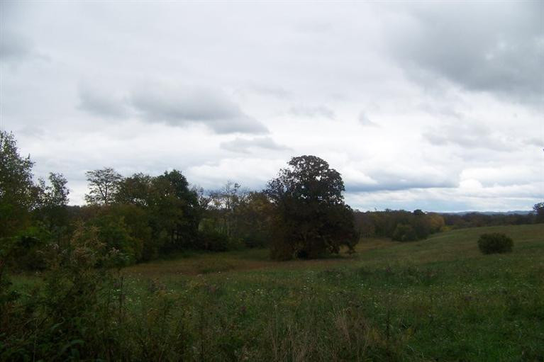 2159 Camargo Road Mount Sterling, KY 40353 - Photo 10 of 37 Photo 10