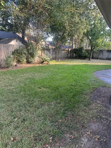 a view of a park with large trees