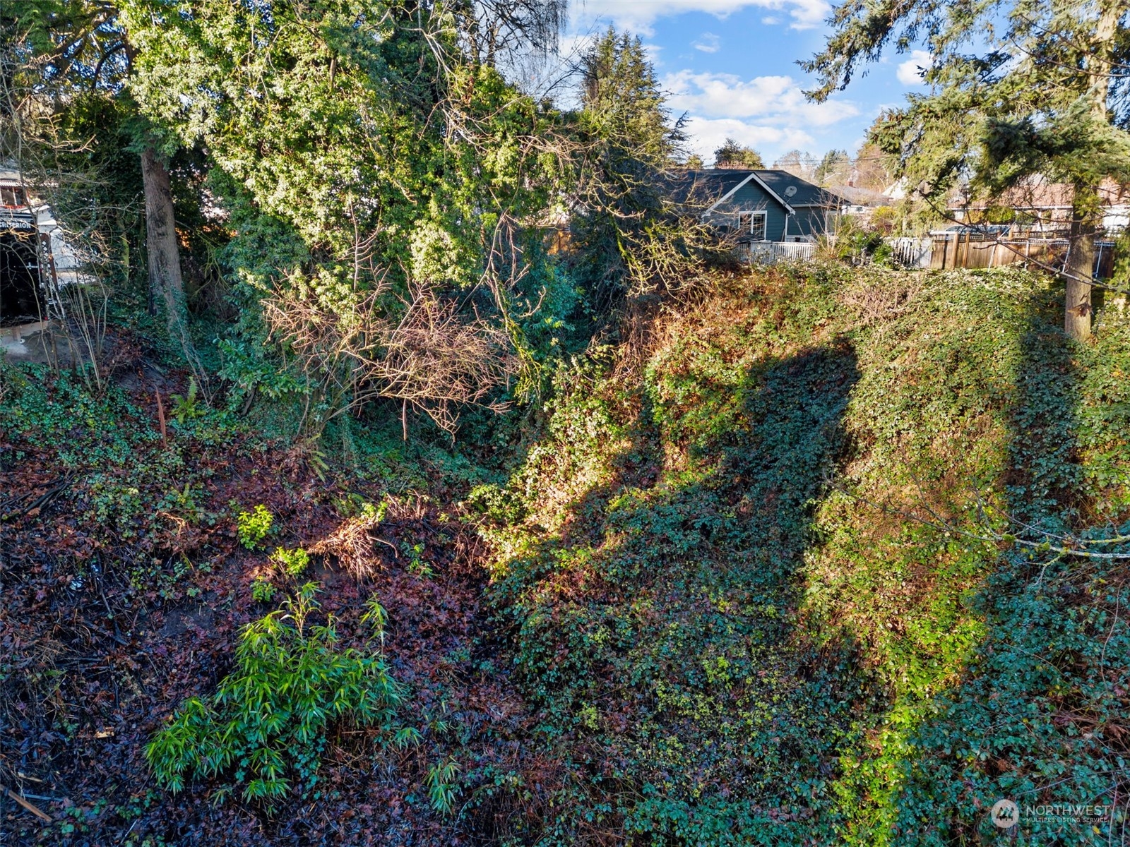 315 Lind Avenue Northwest Renton, WA 98057 - Photo 16 of 16 a backyard of a house with lots of green space