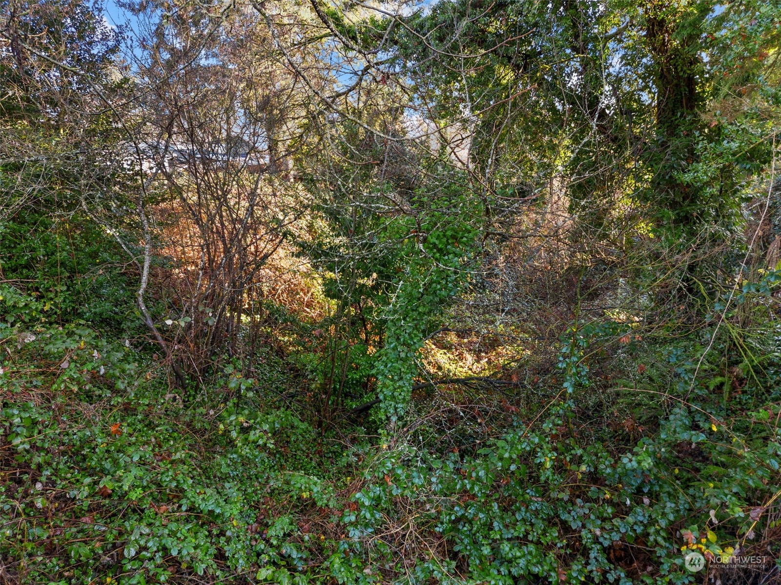 315 Lind Avenue Northwest Renton, WA 98057 - Photo 5 of 16