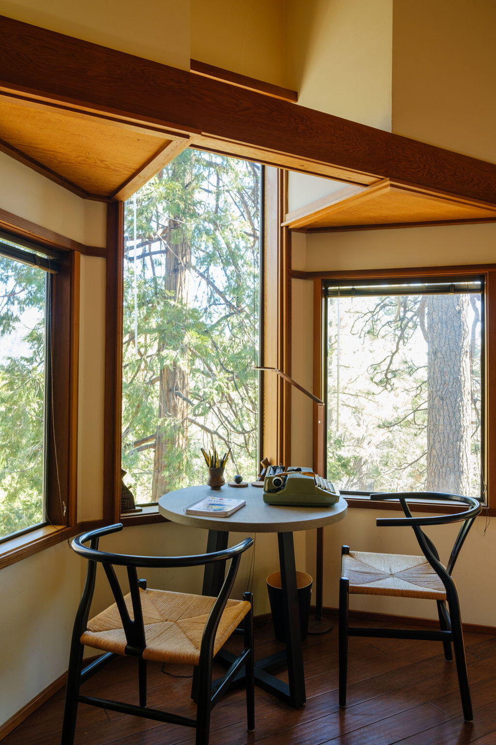 53590 Jeffery Pine Road Idyllwild, CA 92549 - Photo 31 of 61 43-web-or-mls-53590 Jeffery Pine Rd by P