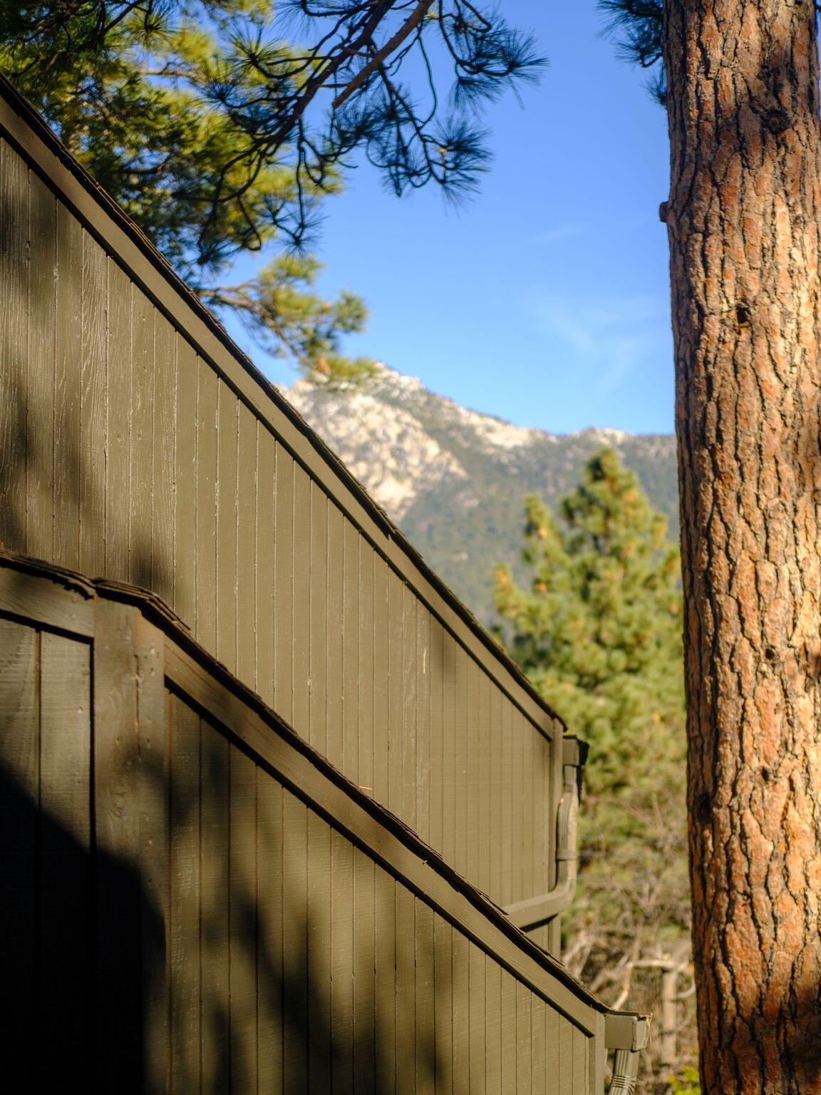 53590 Jeffery Pine Road Idyllwild, CA 92549 - Photo 32 of 61 45-web-or-mls-53590 Jeffery Pine Rd by P