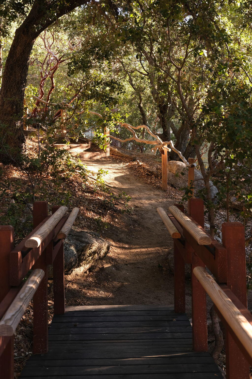 53590 Jeffery Pine Road Idyllwild, CA 92549 - Photo 33 of 61 47-web-or-mls-53590 Jeffery Pine Rd by P