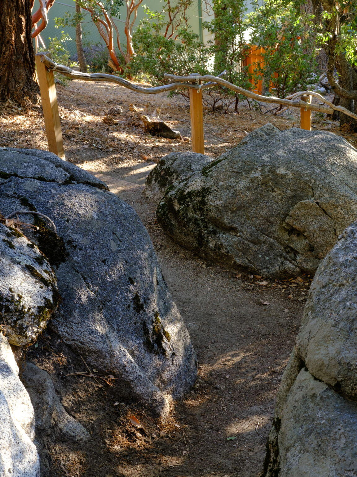 53590 Jeffery Pine Road Idyllwild, CA 92549 - Photo 34 of 61 48-web-or-mls-53590 Jeffery Pine Rd by P