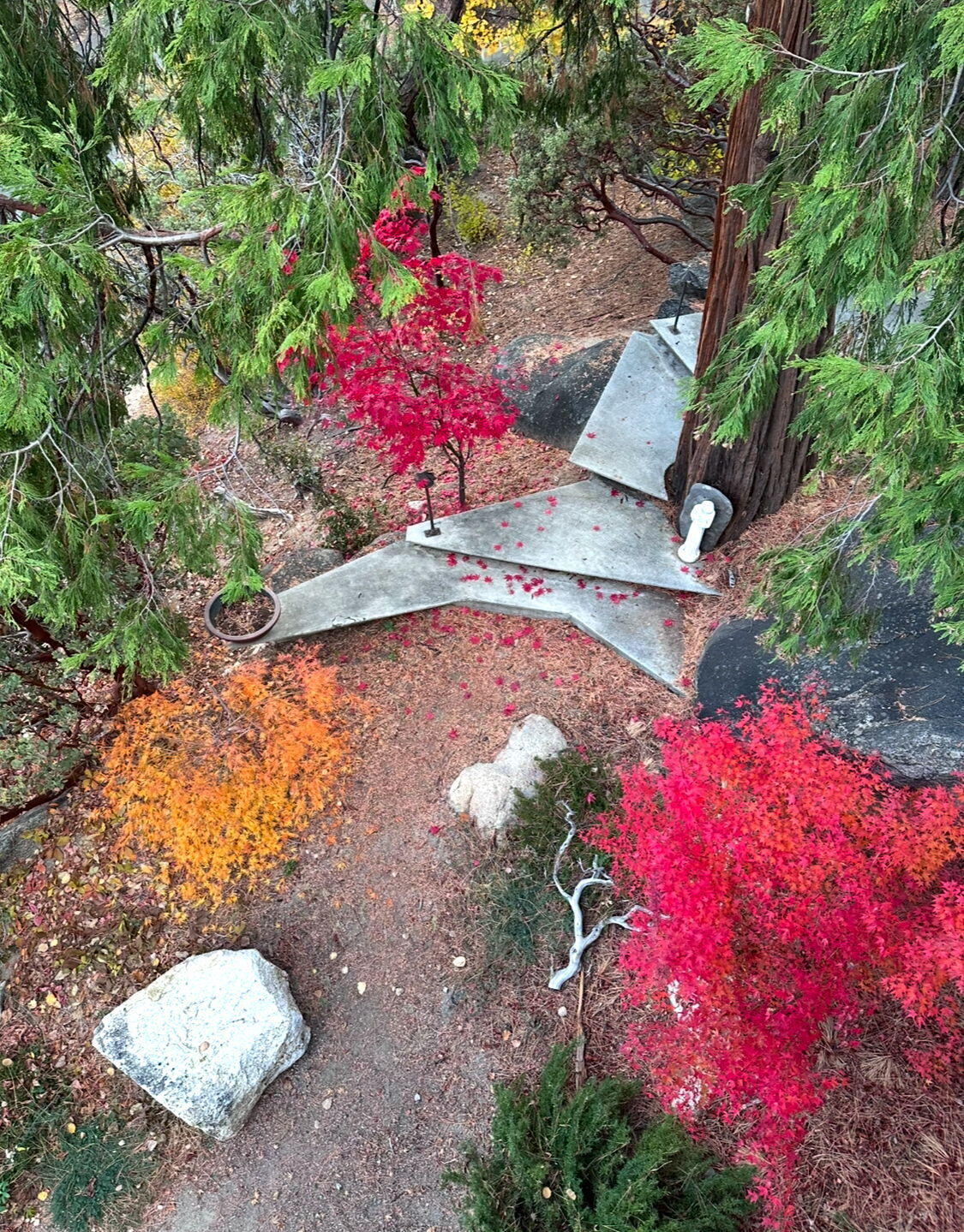 53590 Jeffery Pine Road Idyllwild, CA 92549 - Photo 57 of 61 75-web-or-mls-IMG_1890