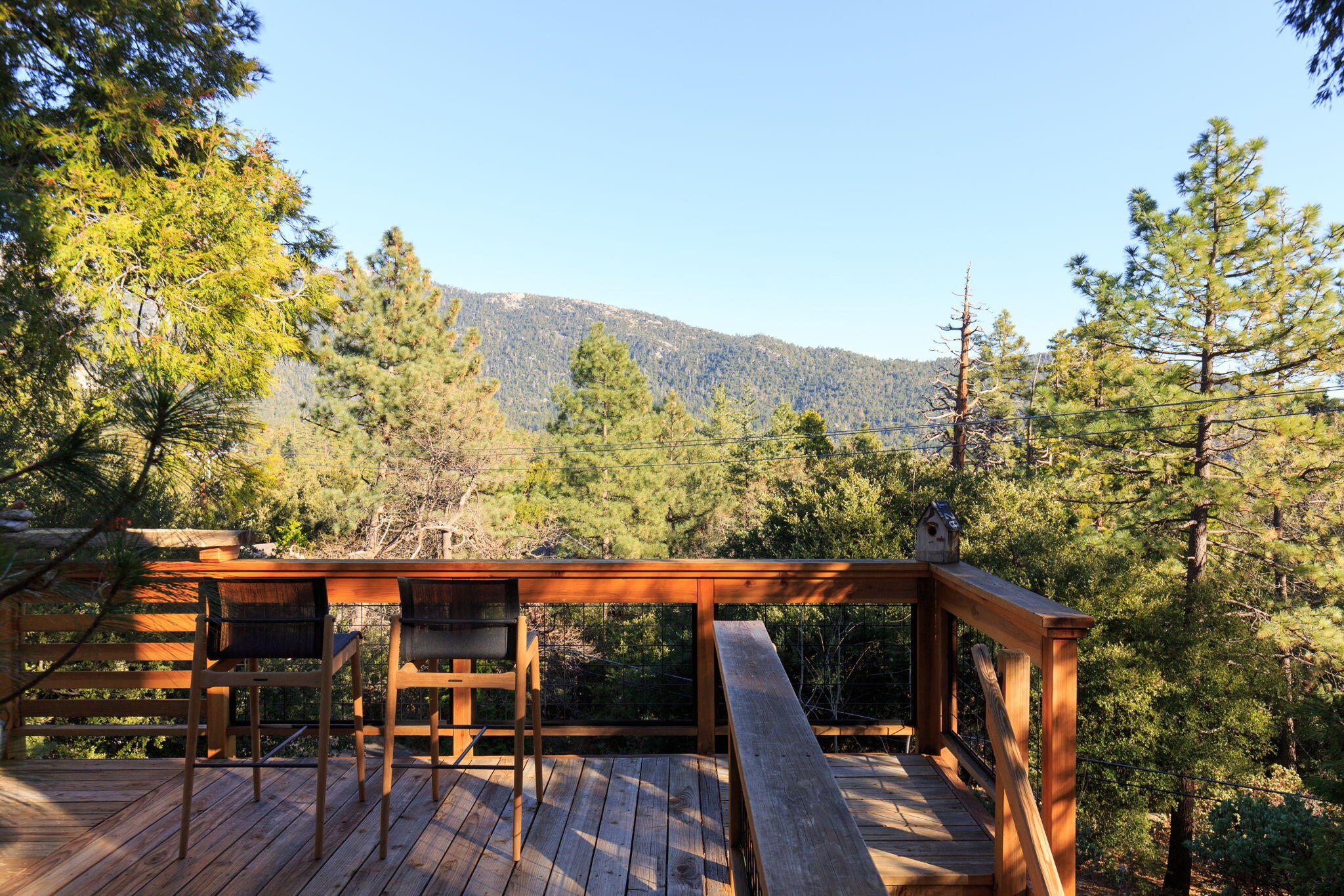53590 Jeffery Pine Road Idyllwild, CA 92549 - Photo 7 of 61 15-web-or-mls-53590 Jeffery Pine Rd by P