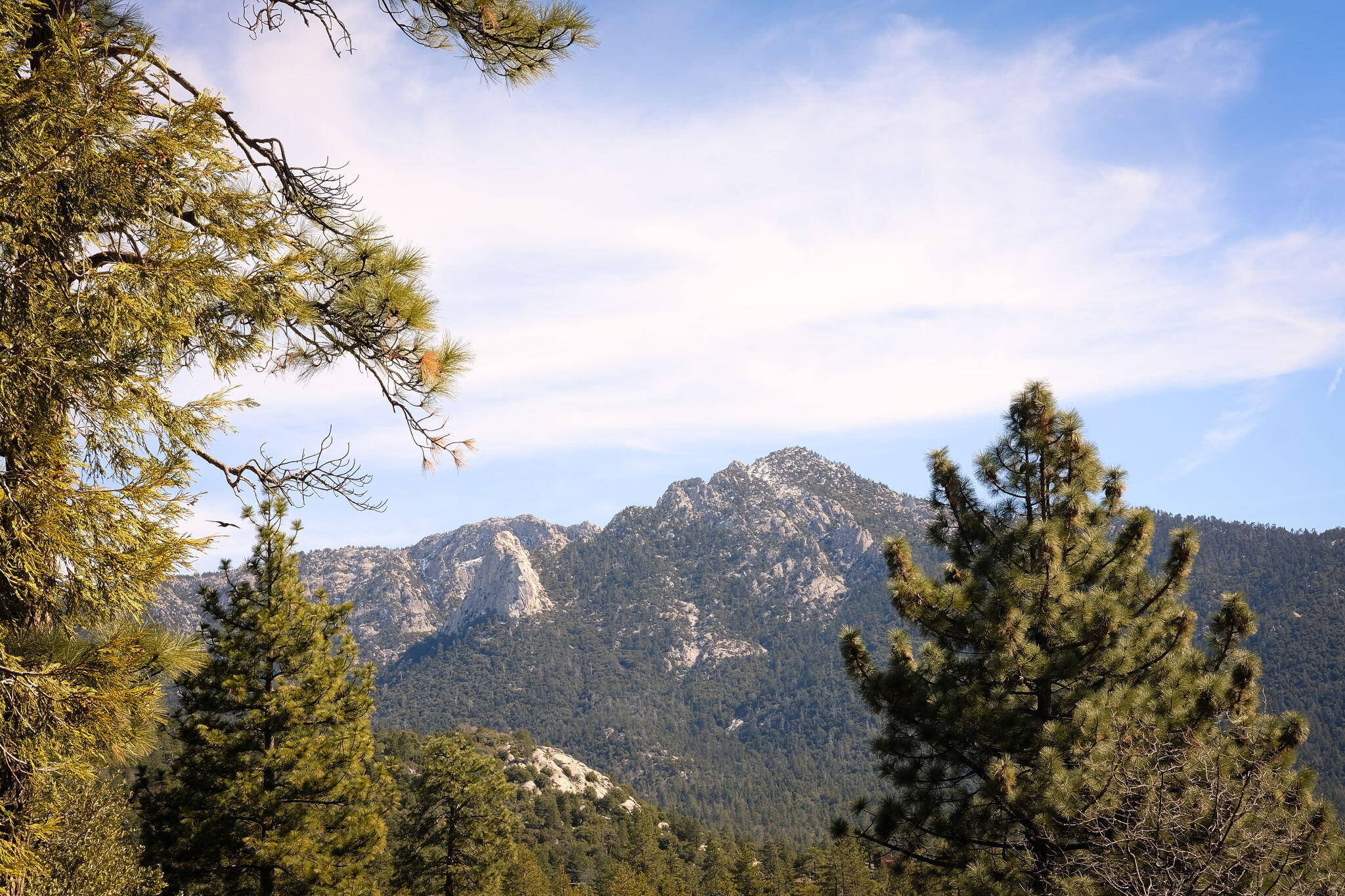 53590 Jeffery Pine Road Idyllwild, CA 92549 - Photo 9 of 61 17-web-or-mls-53590 Jeffery Pine Rd by P