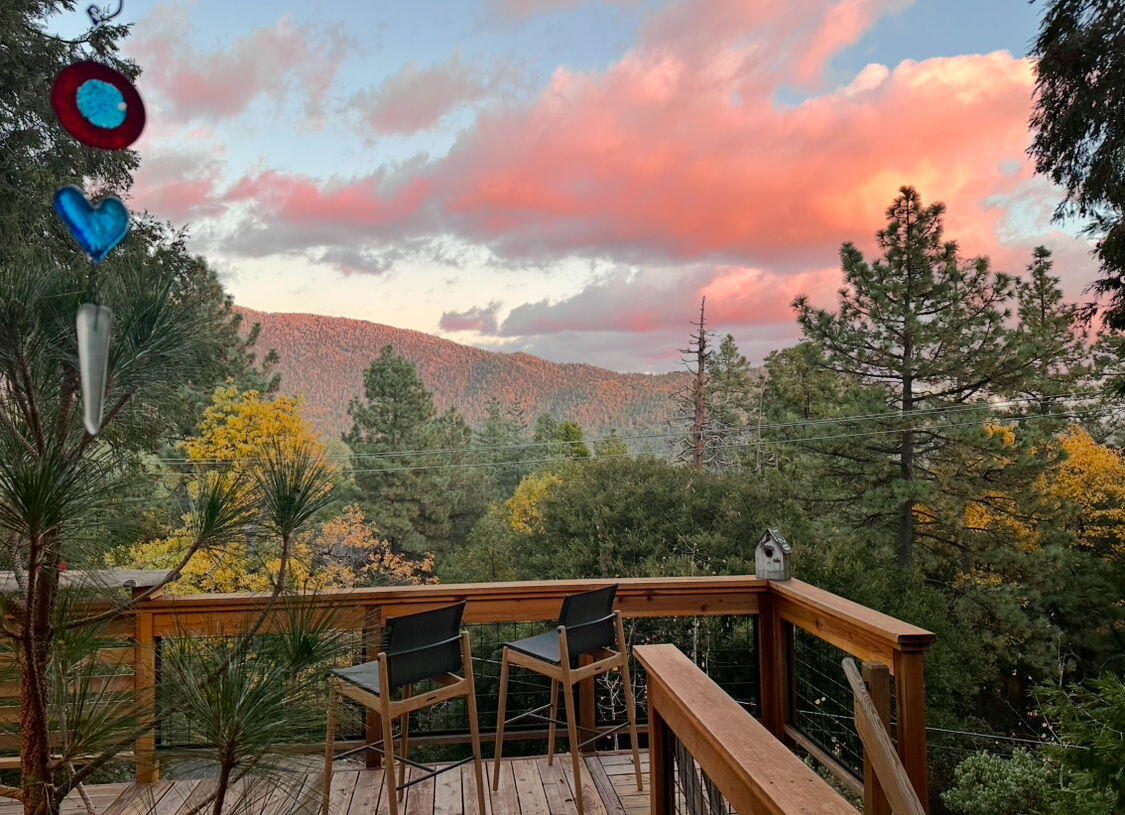 53590 Jeffery Pine Road Idyllwild, CA 92549 - Photo 10 of 61 74-web-or-mls-IMG_1889